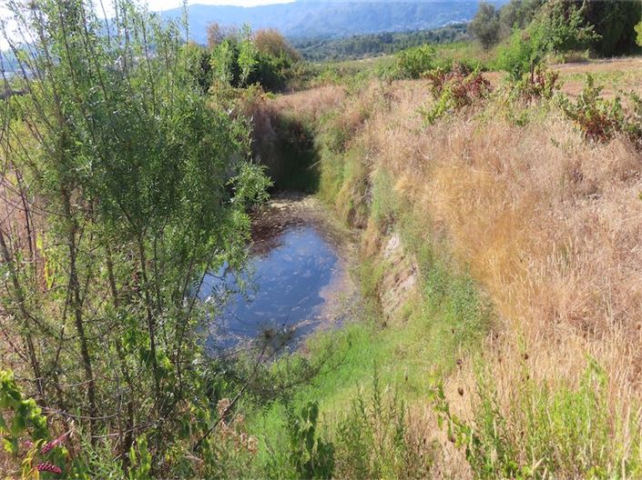 Image No.2-Propriété à vendre à Castelo Branco