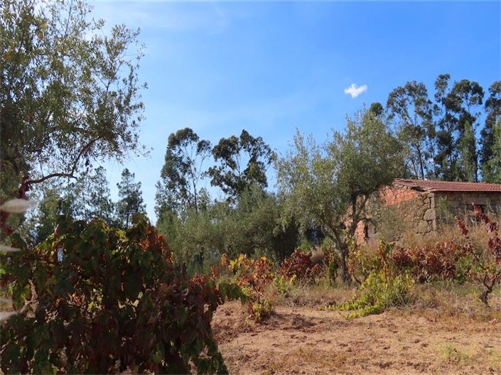 Image No.22-Propriété à vendre à Castelo Branco