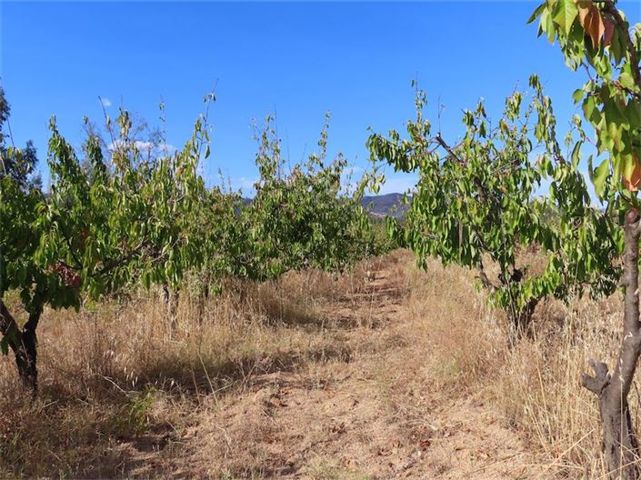 Image No.23-Propriété à vendre à Castelo Branco