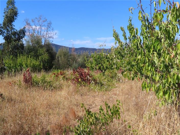 Image No.24-Propriété à vendre à Castelo Branco