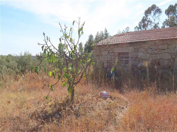 Image No.25-Propriété à vendre à Castelo Branco