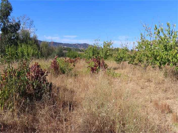 Image No.26-Propriété à vendre à Castelo Branco