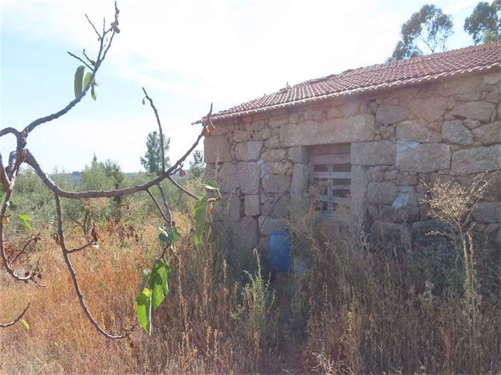 Image No.27-Propriété à vendre à Castelo Branco