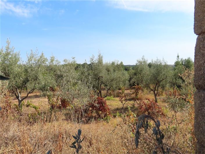 Image No.28-Propriété à vendre à Castelo Branco