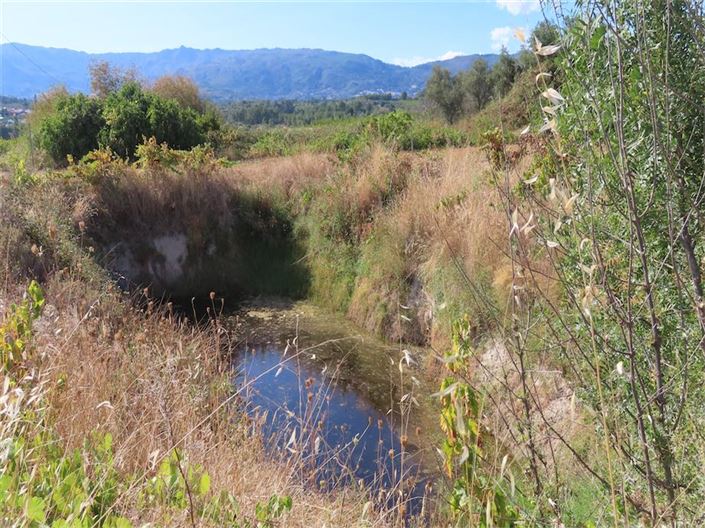 Image No.3-Propriété à vendre à Castelo Branco