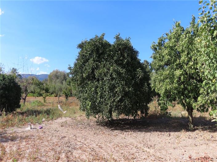 Image No.5-Propriété à vendre à Castelo Branco