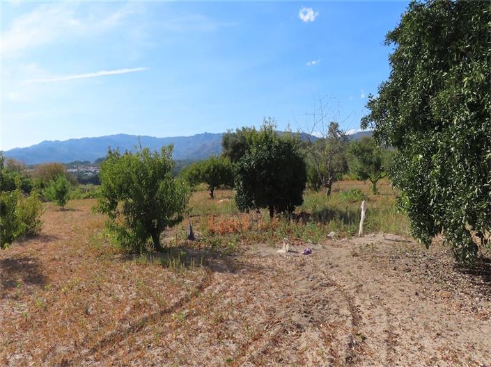 Image No.6-Propriété à vendre à Castelo Branco