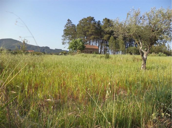 Image No.10-Propriété à vendre à Castelo Branco