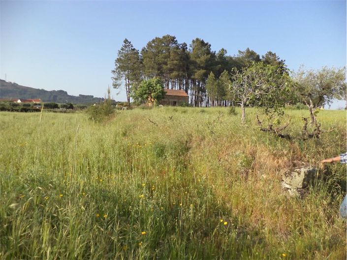 Image No.11-Propriété à vendre à Castelo Branco