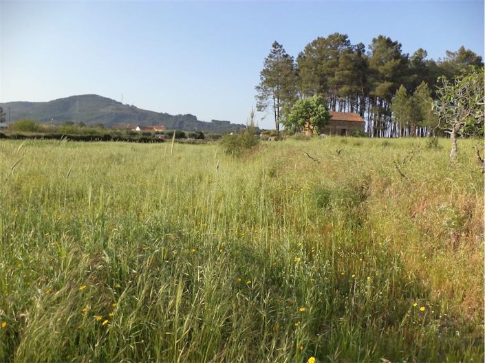 Image No.12-Propriété à vendre à Castelo Branco