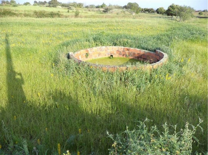 Image No.13-Propriété à vendre à Castelo Branco