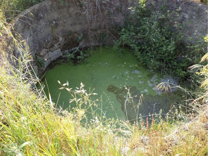 Image No.18-Propriété à vendre à Castelo Branco