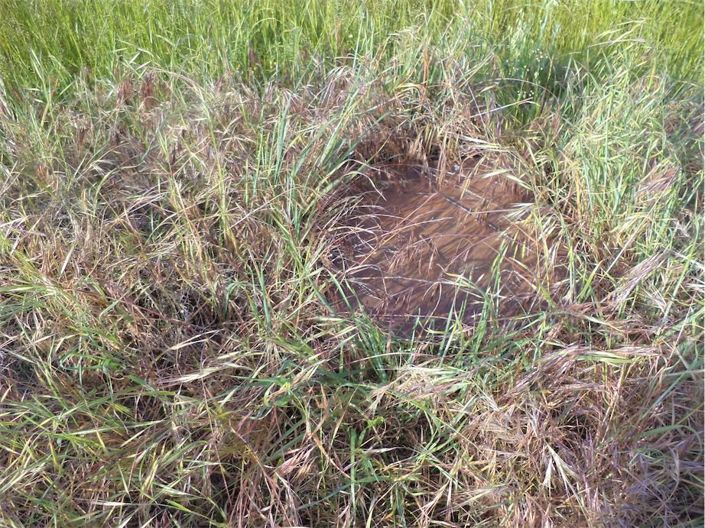 Image No.19-Propriété à vendre à Castelo Branco