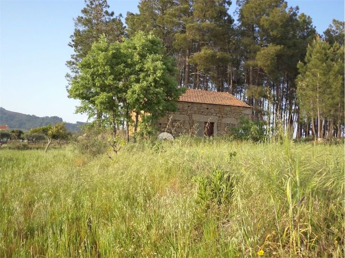 Image No.2-Propriété à vendre à Castelo Branco