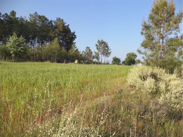 Image No.20-Propriété à vendre à Castelo Branco