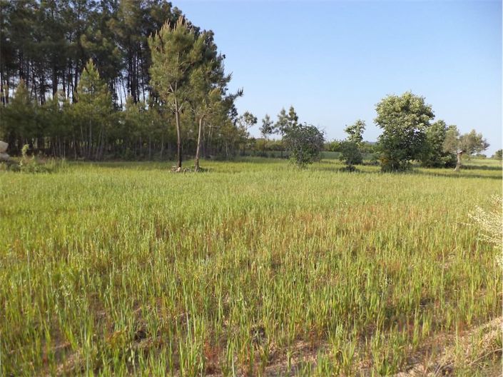 Image No.21-Propriété à vendre à Castelo Branco