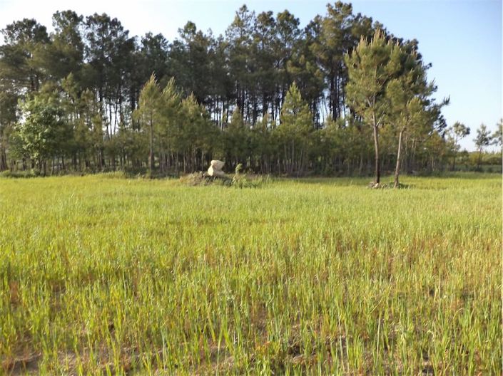 Image No.22-Propriété à vendre à Castelo Branco