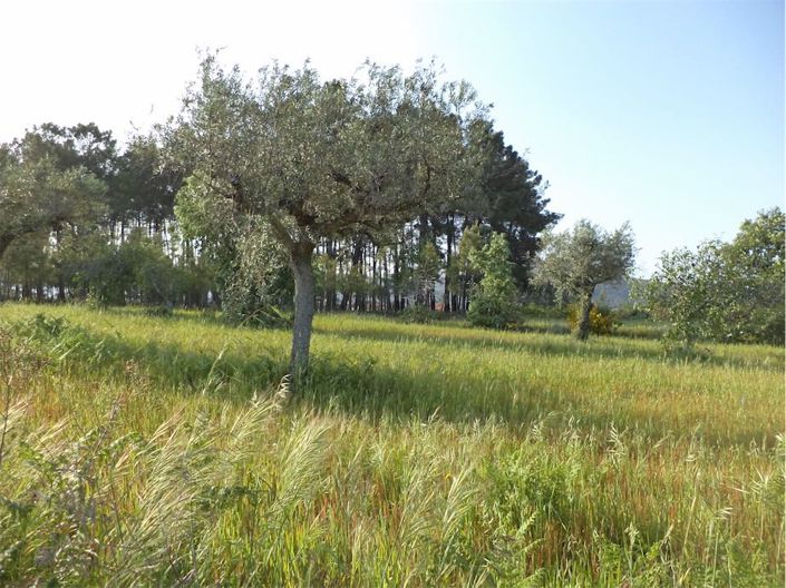 Image No.23-Propriété à vendre à Castelo Branco