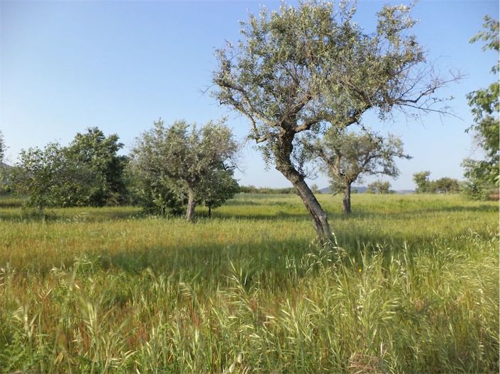 Image No.24-Propriété à vendre à Castelo Branco