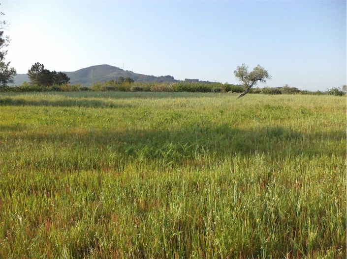 Image No.26-Propriété à vendre à Castelo Branco