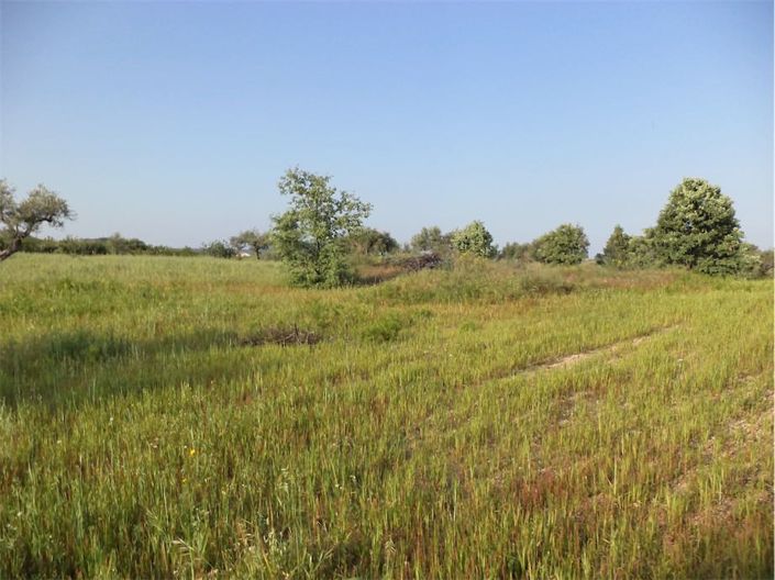 Image No.27-Propriété à vendre à Castelo Branco