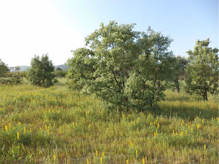 Image No.28-Propriété à vendre à Castelo Branco