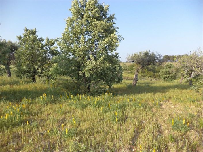 Image No.29-Propriété à vendre à Castelo Branco