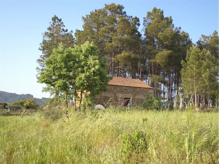 Image No.3-Propriété à vendre à Castelo Branco