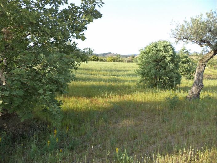 Image No.31-Propriété à vendre à Castelo Branco