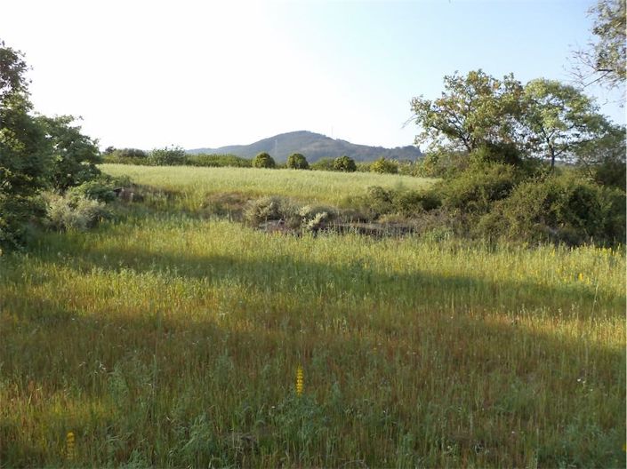 Image No.32-Propriété à vendre à Castelo Branco