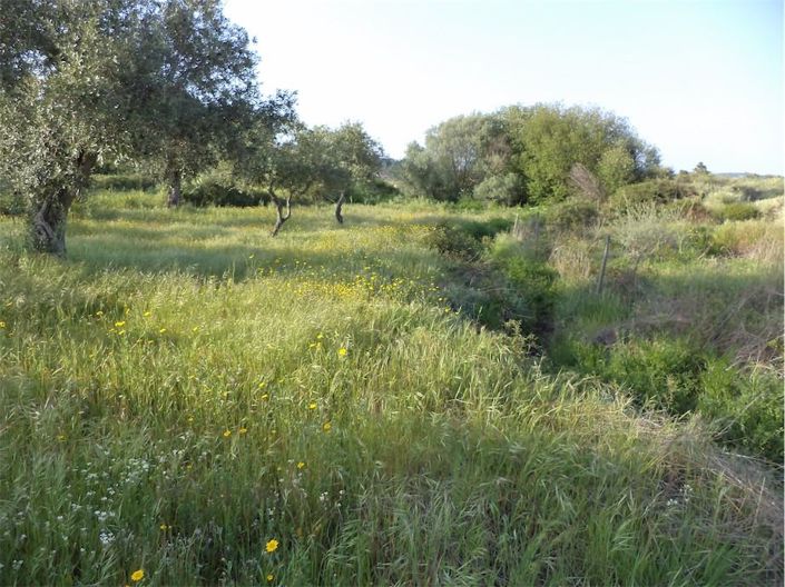 Image No.34-Propriété à vendre à Castelo Branco