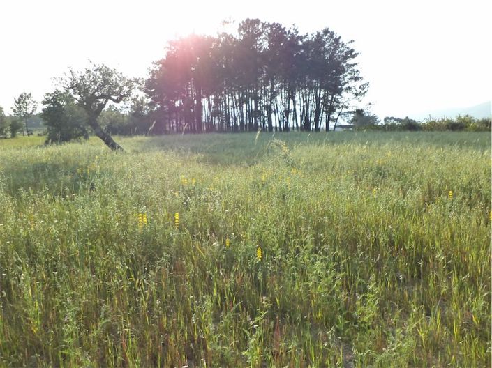 Image No.37-Propriété à vendre à Castelo Branco