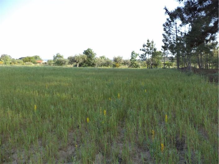 Image No.41-Propriété à vendre à Castelo Branco