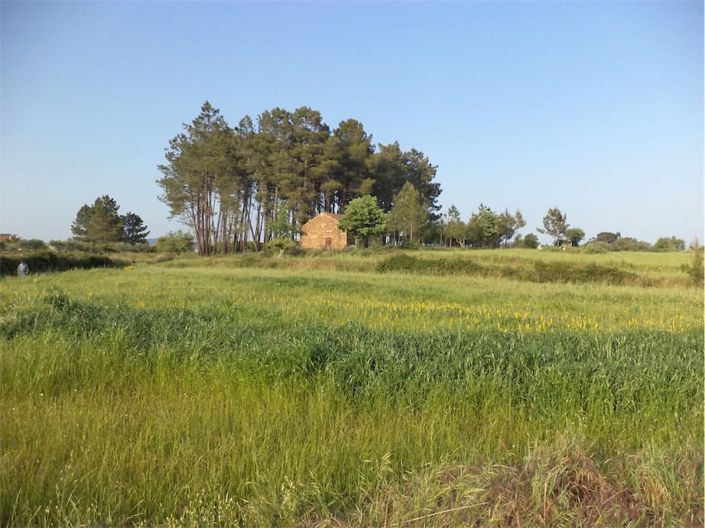 Image No.5-Propriété à vendre à Castelo Branco