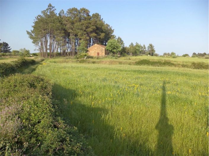 Image No.7-Propriété à vendre à Castelo Branco