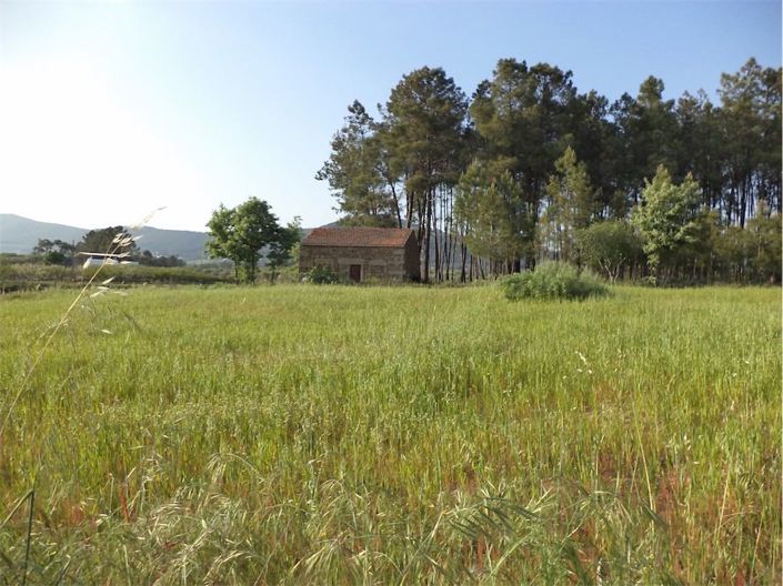 Image No.9-Propriété à vendre à Castelo Branco