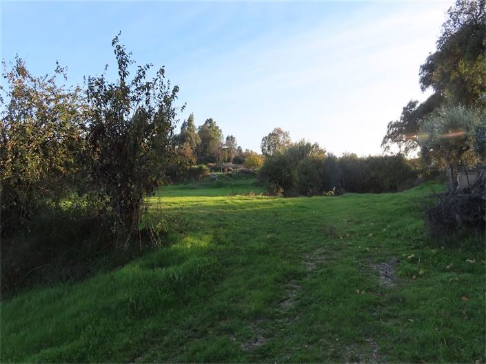 Image No.11-Propriété à vendre à Castelo Branco