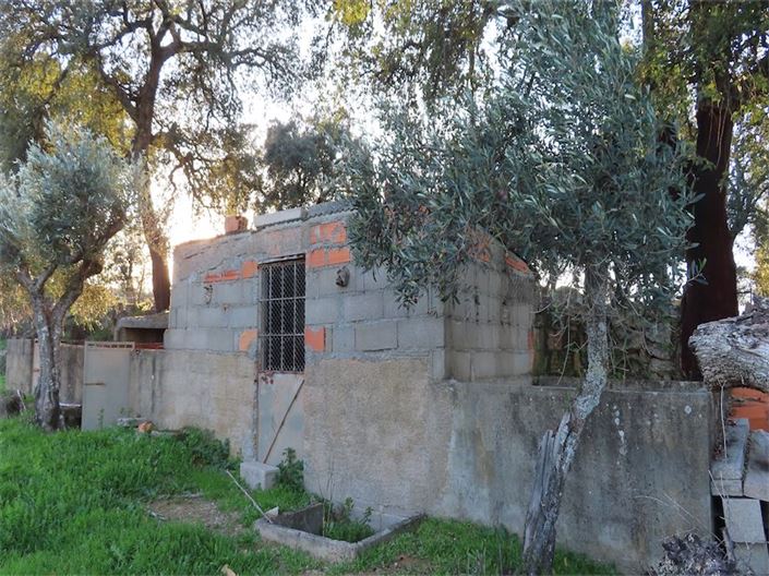 Image No.16-Propriété à vendre à Castelo Branco