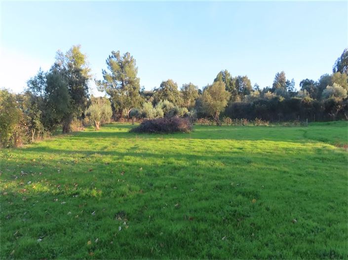 Image No.17-Propriété à vendre à Castelo Branco