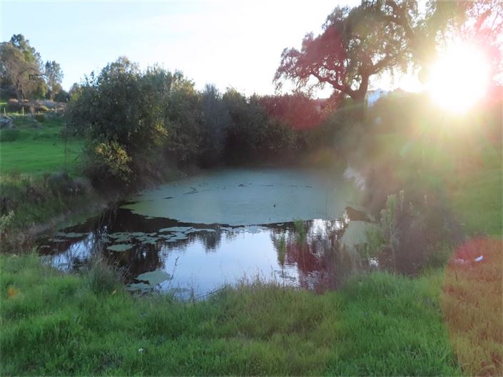 Image No.18-Propriété à vendre à Castelo Branco