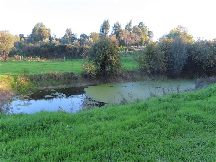 Image No.19-Propriété à vendre à Castelo Branco