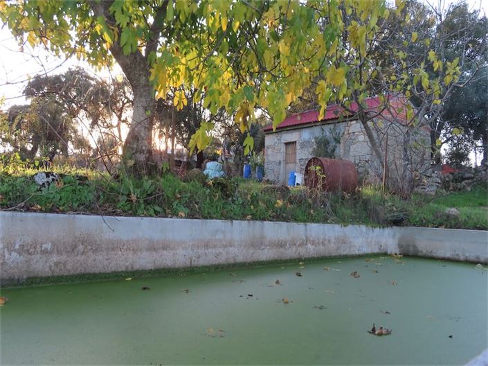 Image No.2-Propriété à vendre à Castelo Branco