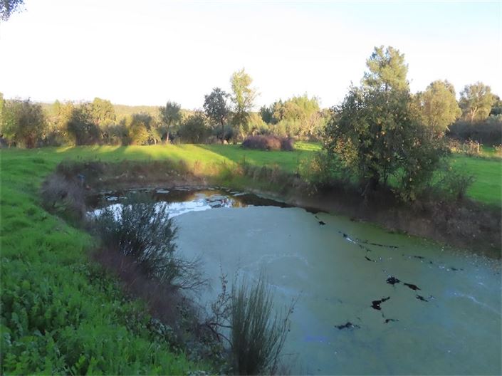 Image No.20-Propriété à vendre à Castelo Branco