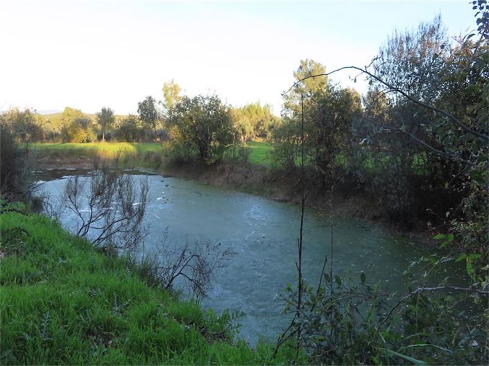 Image No.22-Propriété à vendre à Castelo Branco