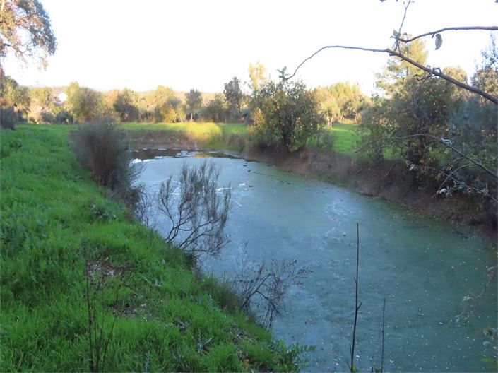 Image No.23-Propriété à vendre à Castelo Branco