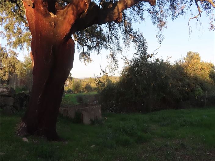 Image No.24-Propriété à vendre à Castelo Branco