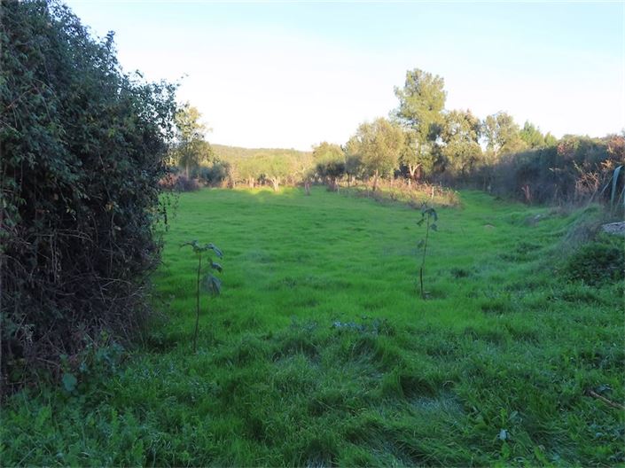 Image No.25-Propriété à vendre à Castelo Branco