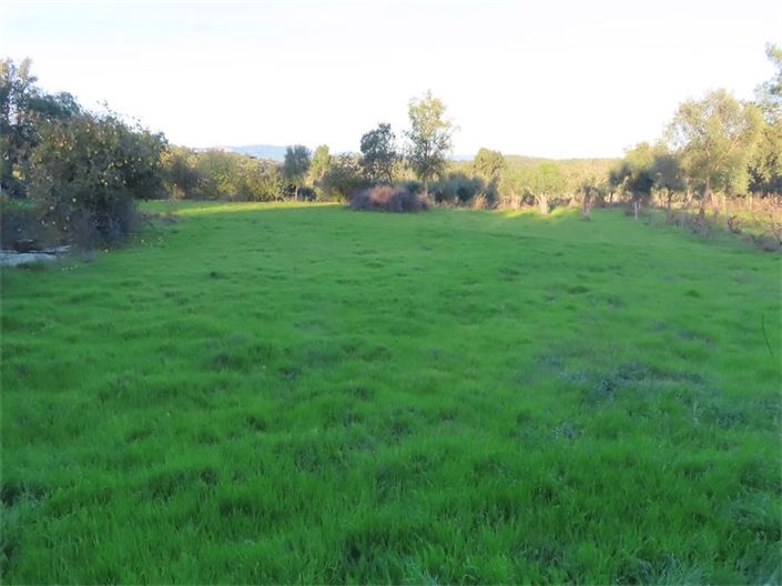 Image No.26-Propriété à vendre à Castelo Branco