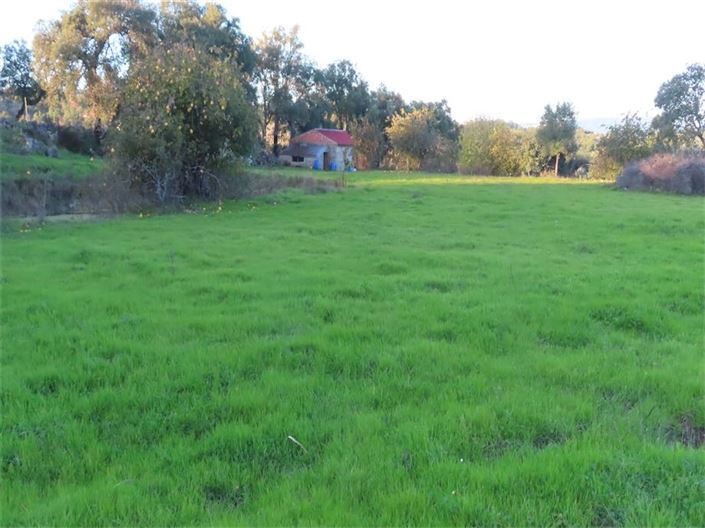 Image No.27-Propriété à vendre à Castelo Branco