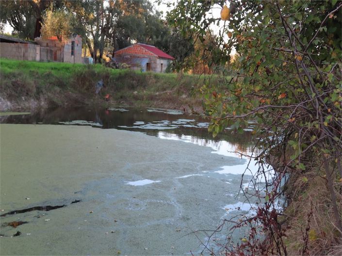 Image No.28-Propriété à vendre à Castelo Branco